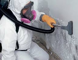 Best Asbestos and Lead Testing During Mold Inspection in Xenia, OH